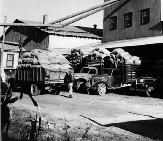 Trucks loaded for transport at a southern depot, mid-1930s
