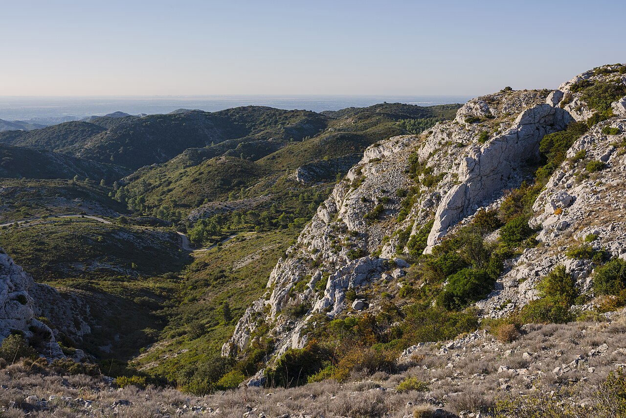 The Alpilles regional park near Saint-Rémy-de-Provençe — limestone hills and scrubland typical of the rural Provençal landscape where Simon Porte Jacquemus grew up